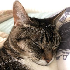 Meet your Posher, Lucy